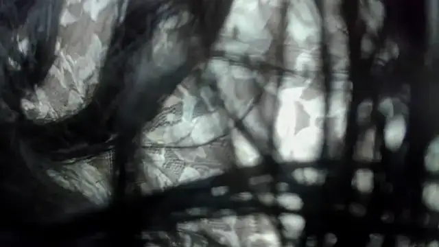 Najayla adams1 online show from 6, 1, 2026