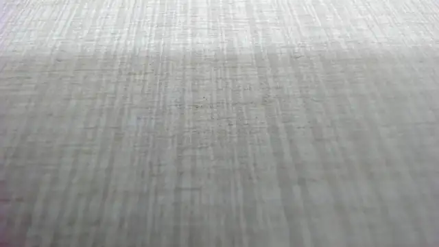 AishaRouhi online show from 4, 3, 2026