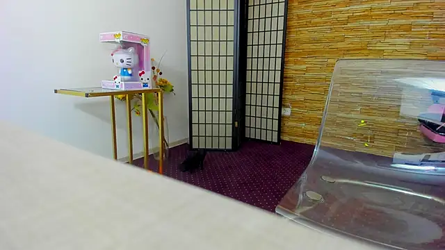 AishaRouhi online show from 17, 12, 2025