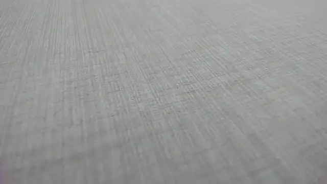 AishaRouhi online show from 19, 12, 2025