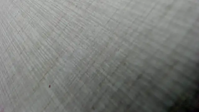 AishaRouhi online show from 3, 2, 2026