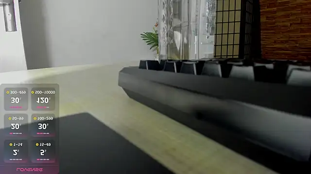 AishaRouhi online show from 19, 10, 2025