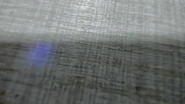 AishaRouhi online show from 25, 3, 2026