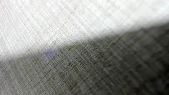 AishaRouhi online show from 14, 3, 2026