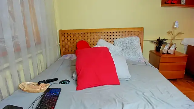 Moon  Eclipse online show from 13, 11, 2025