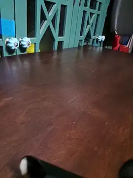 bigdickdaddy2184 online show from 16, 12, 2025