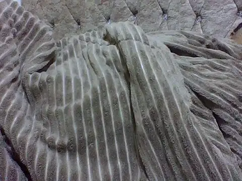 zoey10 online show from 19, 3, 2026