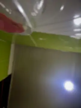 Emiily lee online show from 17, 4, 2026