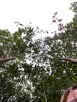 Sofia xx2 online show from 2, 2, 2025