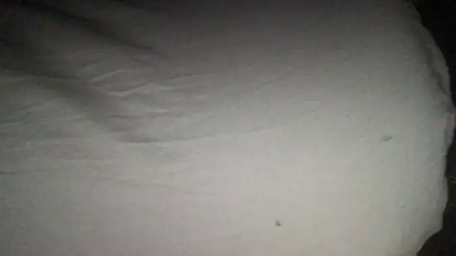 loveofbea online show from 11, 9, 2025