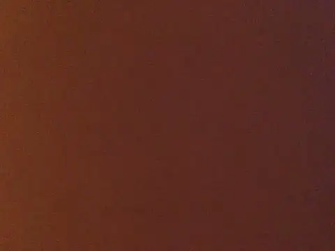 loveofbea online show from 2, 1, 2025