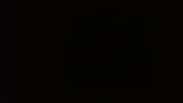 Stefanny Taylor  online show from 13, 11, 2025