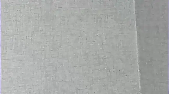 Ricardogo19 online show from 1, 3, 2025