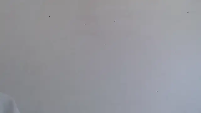 Niurca01  online show from 16, 10, 2025