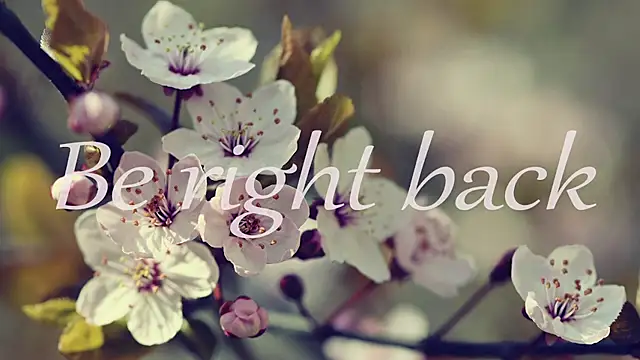 1lindsey1 online show from 15, 4, 2026