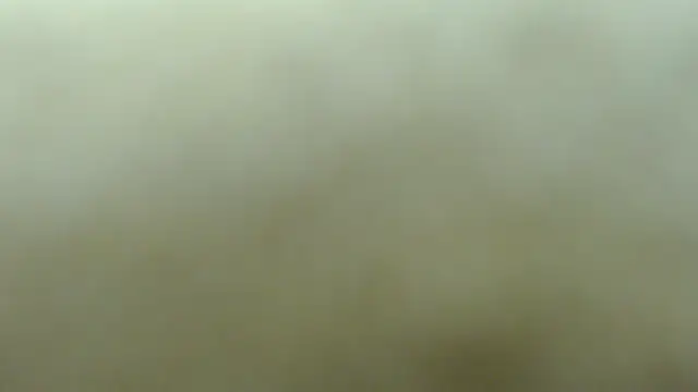 lakeeza online show from 8, 11, 2025