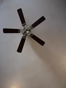 ThicBunz online show from 9, 2, 2026