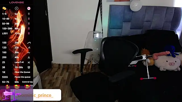 DominicPrince online show from 24, 11, 2025