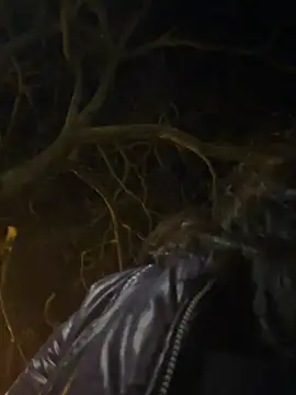 Ary art online show from 17, 3, 2026