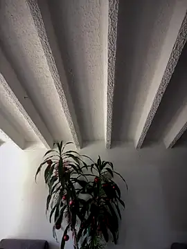 Khalyk G online show from 15, 12, 2025