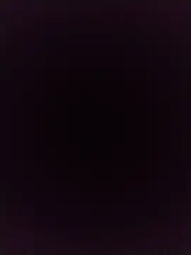 Meriozoro online show from 11, 4, 2026