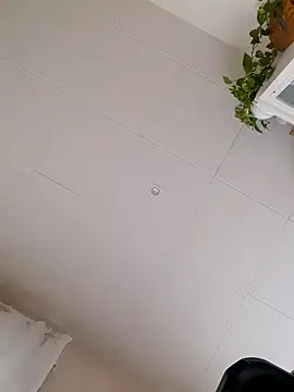 Greacky online show from 14, 12, 2024