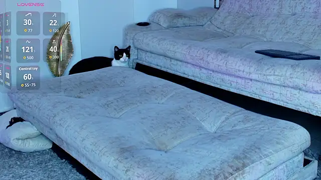 zaiin diesel online show from 31, 3, 2026