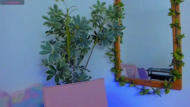 ShegoBlake online show from 9, 3, 2026