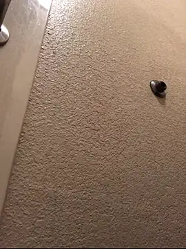 Snapshot of Jasontv56 chatting on 13, 11, 2025 Jasontv56 online show from 13, 11, 2025