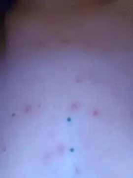 Linda 999 online show from 21, 4, 2026