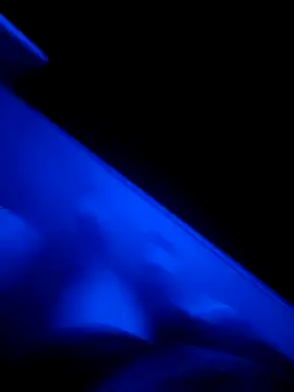 red red00 online show from 13, 3, 2025