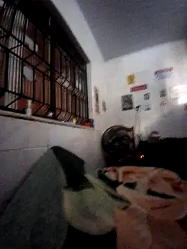 Zenfox24 online show from 20, 2, 2026