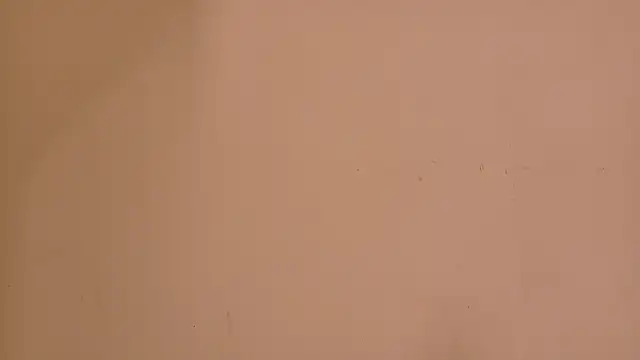 flavia cruz online show from 15, 6, 2026