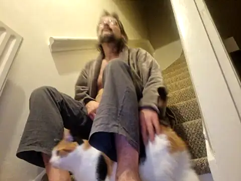 stavroun online show from 9, 11, 2025