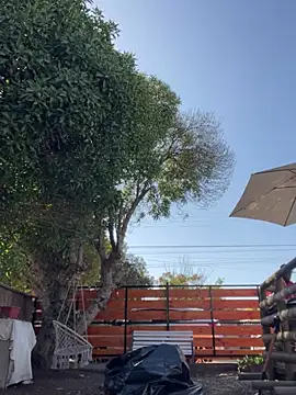 Andricastro online show from 23, 2, 2025