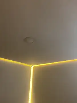 AmmyCollinsW online show from 16, 3, 2026