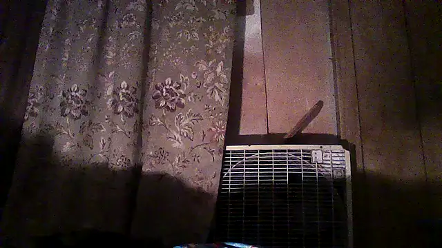 luke thighwalker2469 online show from 2, 12, 2025