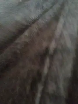 cazaperdidas online show from 13, 1, 2026