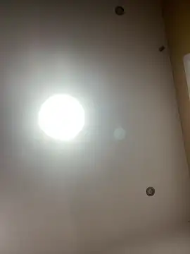 Freya Artemisa online show from 7, 3, 2026