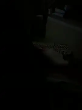 julia julia02 online show from 24, 2, 2026