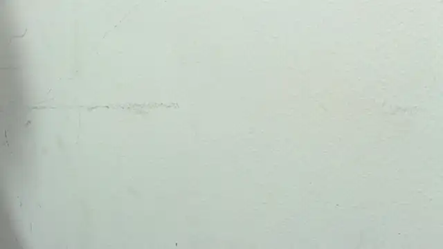 sinay024 online show from 9, 2, 2026