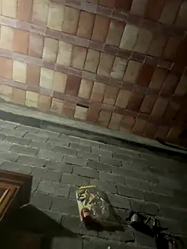 ros217 online show from 5, 1, 2026