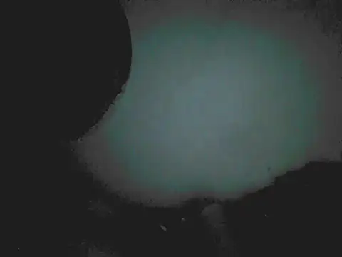 18cm2hrcarlos online show from 25, 3, 2026