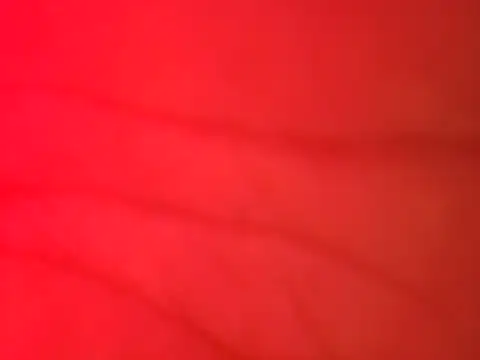 jorwee online show from 15, 2, 2025