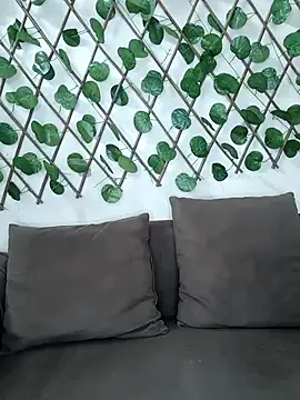 Bold-Cat online show from 8, 11, 2025