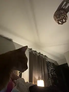 SmokingSloth online show from 13, 11, 2025