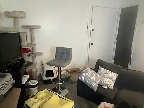 SpunCandy online show from 8, 6, 2026