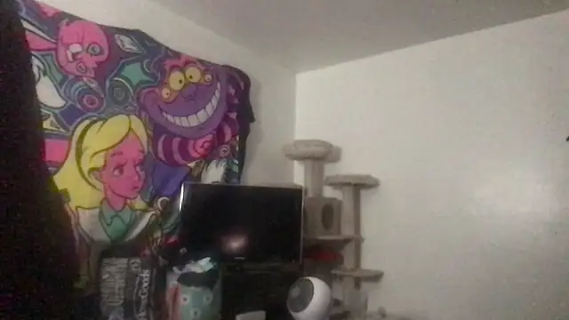 SpunCandy online show from 27, 5, 2026