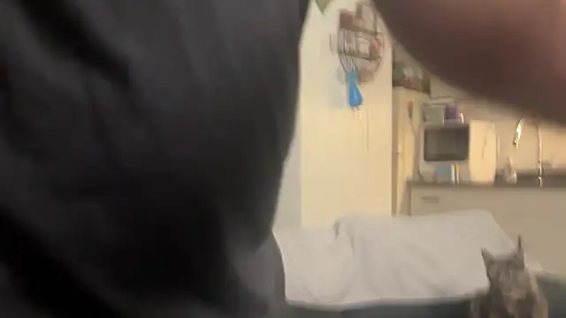 SpunCandy online show from 28, 2, 2026