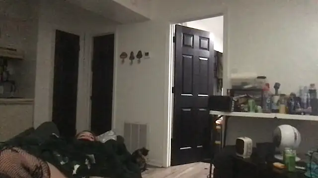 SpunCandy online show from 10, 3, 2026